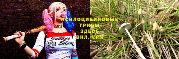 винт Медногорск