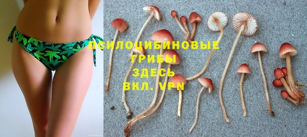 винт Медногорск