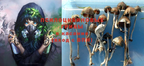 винт Медногорск